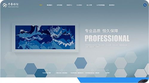 品牌網(wǎng)站建設(shè) 官方網(wǎng)站建設(shè) 大型行業(yè)門戶網(wǎng)站設(shè)計(jì) 北京分形科技